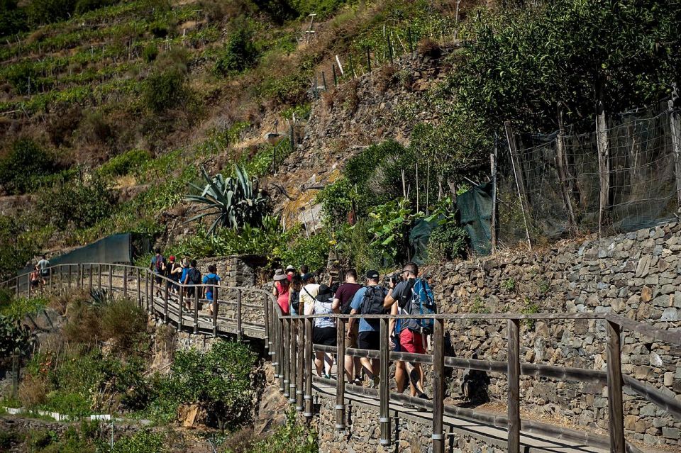 Private Cinque Terre Tour From Florence With Optional Hike - Transportation and Accessibility