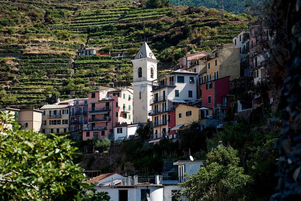 Private Cinque Terre Tour From Florence With Optional Hike - Lunch and Dining Experience