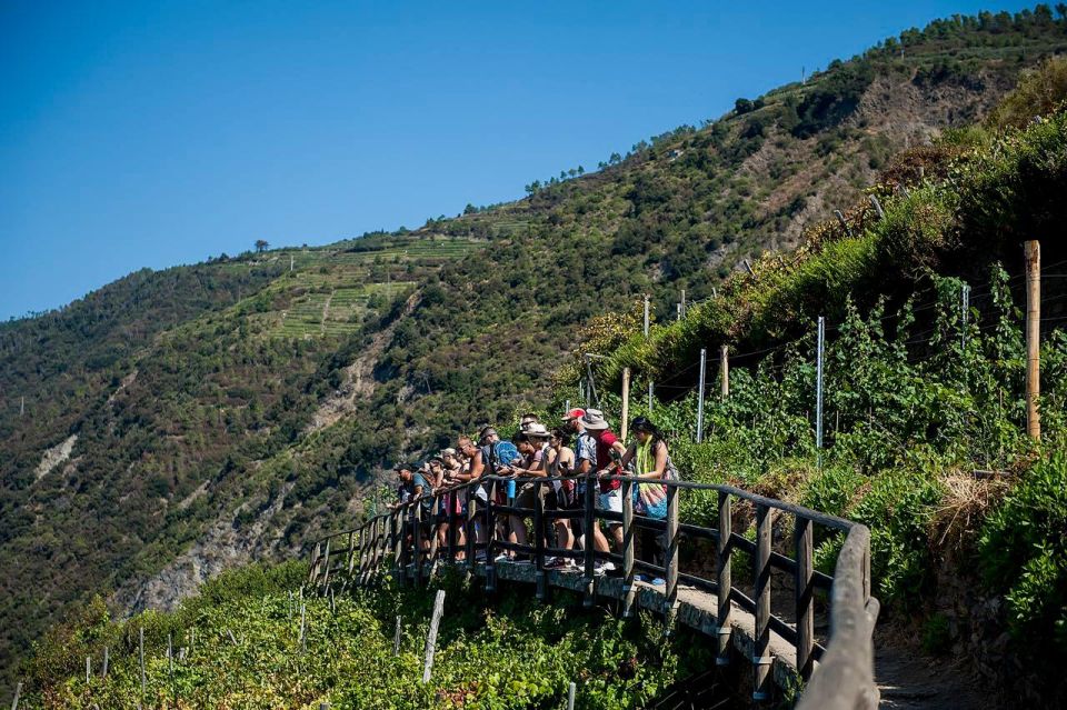 Private Cinque Terre Tour From Florence With Optional Hike - Weather and Boat Trips