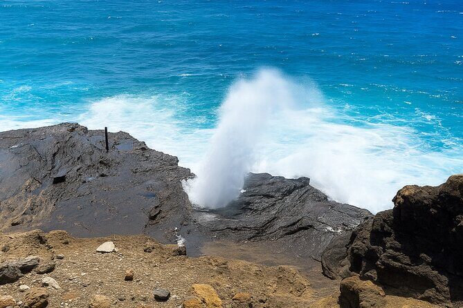 Private Circle Island Tour North Shore and East Side - An In-depth Look at the Tour Experience