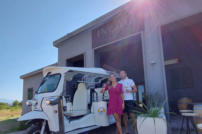 Private City and Wine Tour in Zadar With Eco Tuk Tuk - Flexible Pickup and Drop-off
