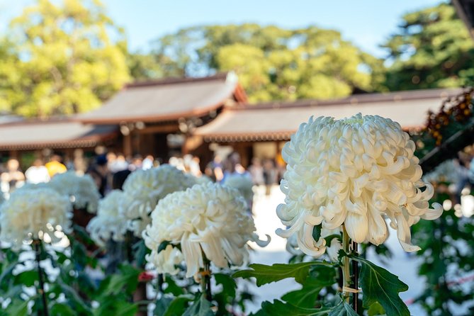 Private City Kickstart Tour: Tokyo - Booking and Inquiries