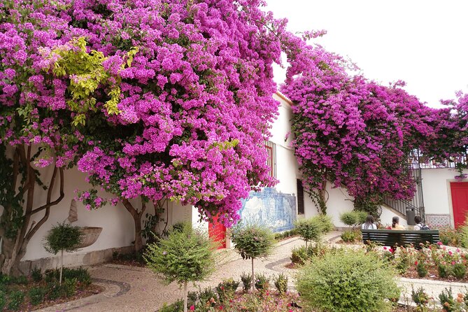 Private City Tour: Highlights of Lisbon - Reviews