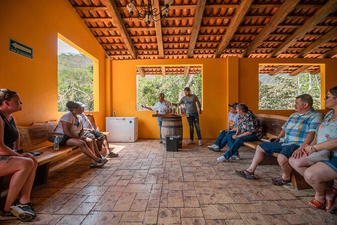 Private City tour & tequila tasting - Detailed Review of the Experience