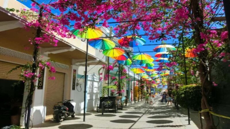 Private: City Tour with Lunch, Rum, and Chocolate - FAQs