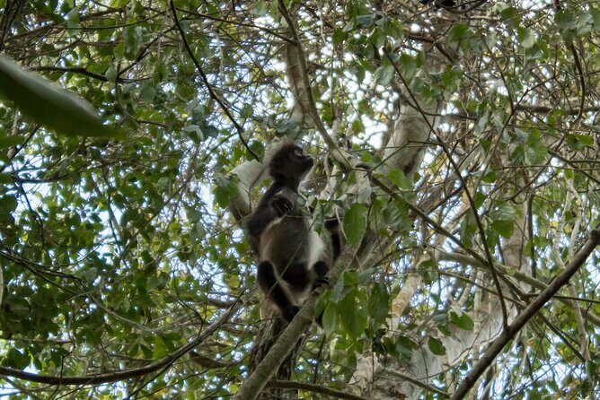 Private Coba Ruins and Natural Reserve - Who Should Consider This Tour?