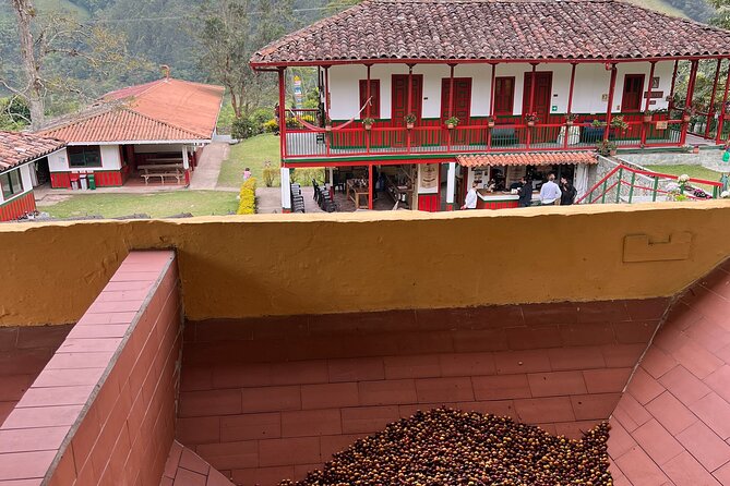 Private Cocora Valley Coffee Tour With Guide - Meeting and Pickup