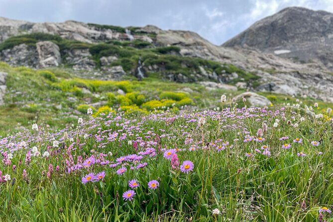Private Colorado Backcountry 4x4 Off Road Adventure Tour - An Introduction to Colorado’s Backcountry 4x4 Experience