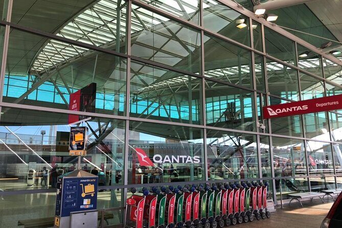 Private Comfortable Trips around the Sydney Region - A Deep Dive into the Experience