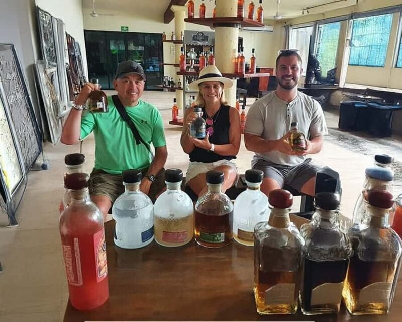 Private Cozumel Caribbean Cantinas Buggy Tour - Key Points