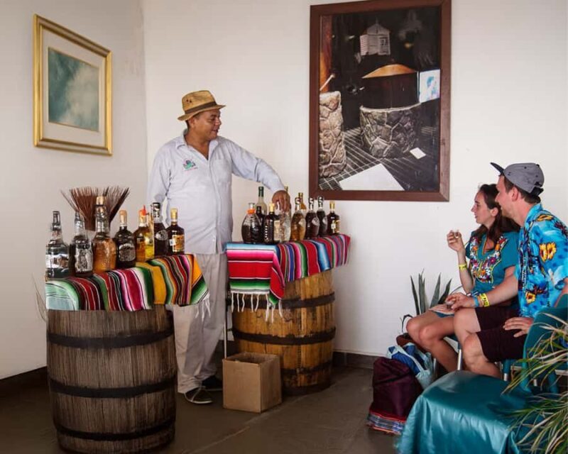 Private Cozumel Caribbean Cantinas Buggy Tour - The Tours Value and Practicalities