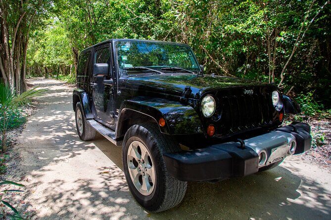 Private Cozumel Jeep and Jade Cavern Cenote Tour - Key Points