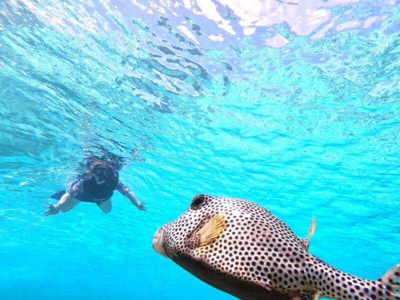 Private Cozumel Jeep and Jade Cavern Cenote Tour - A Close Look at the Itinerary and What You Can Expect