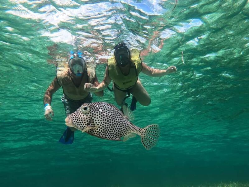 Private Cozumel Jeep and Jade Cavern Cenote Tour - Who Will Love This Tour?