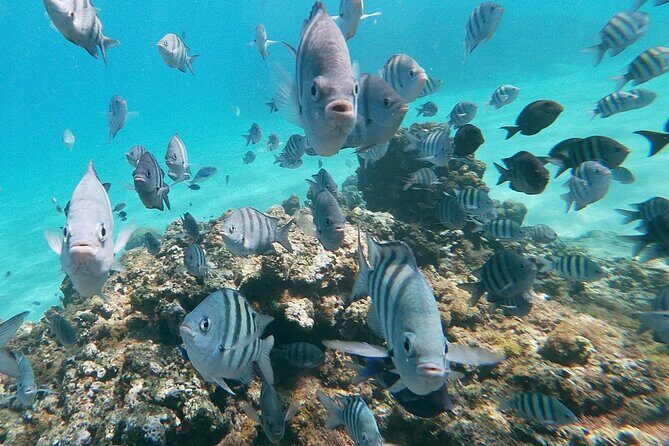 Private Cruise on a Hatteras 52 - The Sum Up: Who Should Consider This Experience?