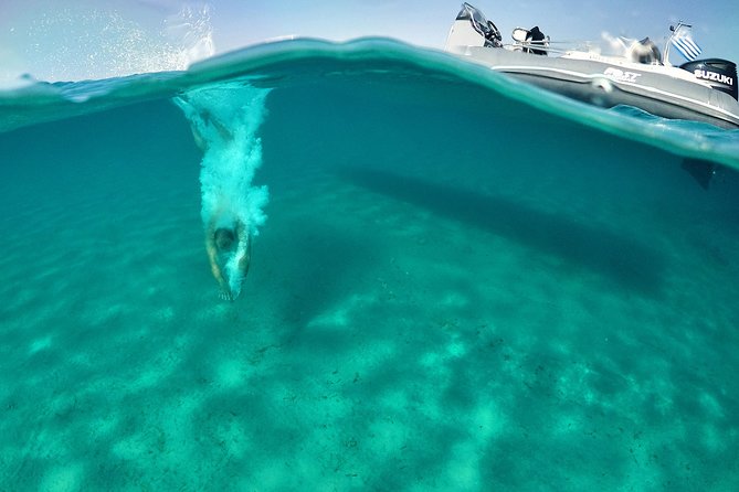 Private Cruise: PAROS – DELOS – RHENIA - MYKONOS - Additional Information