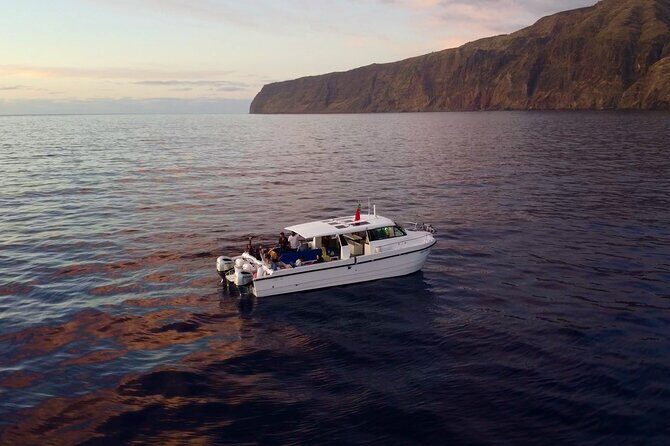 Private Cruise to Calheta and Caniçal Coasts - An In-Depth Look at the Cruise Experience