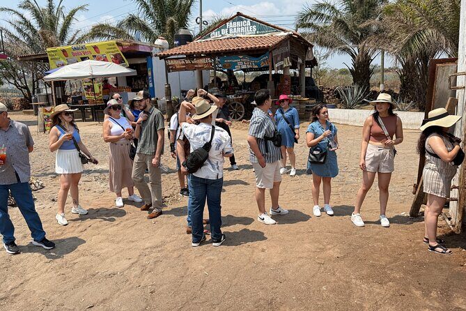 Private, Cultural and Fun Tour to Tequila - Who Would Enjoy This Tour Most?