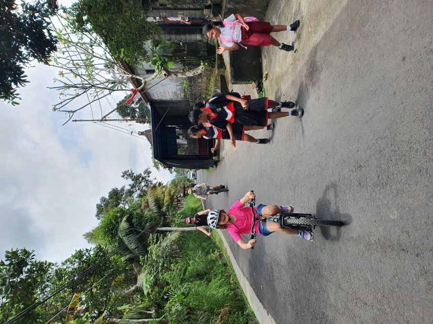 Private Cultural Cycling Tours - Suitability for Participants