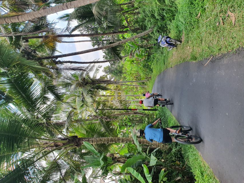 Private Cultural Cycling Tours - Cancellation Policy