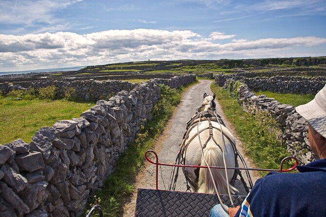 Private cultural tour of Inisheer, Aran Islands with lunch, horse and trap tour - Key Points