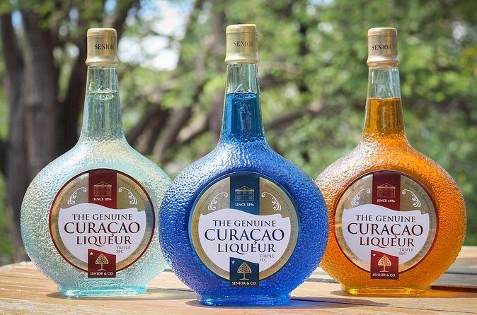 Private Curaçao Heritage Tour A Private Curaçao Journey - Final Thoughts