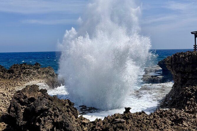 Private Curaçao West Coast: Beach & Nature Photography Tour - The Itinerary in Detail