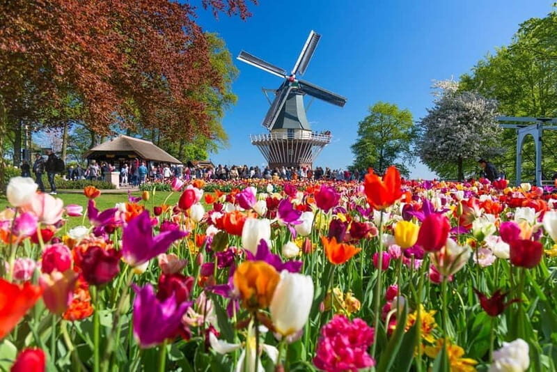 Private CUS Tour: Kinderdijk/ Rotterdam/Hagueenglish// - The Experience: A Deep Dive