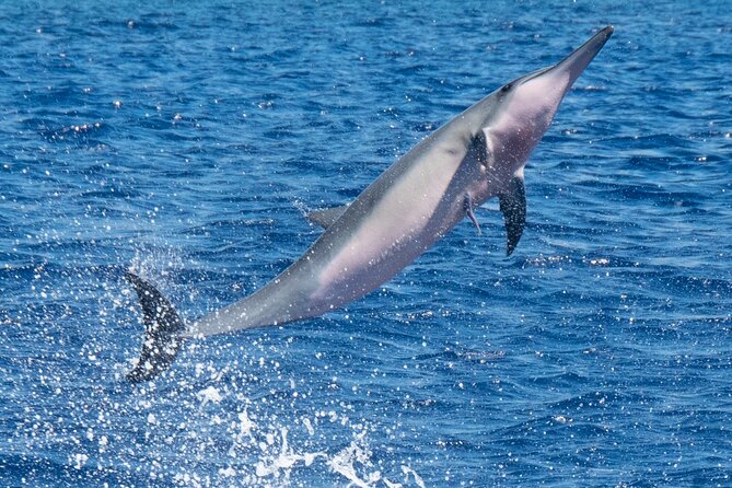 Private Custom Charter in Kawaihae - Pricing and Cancellation Policy