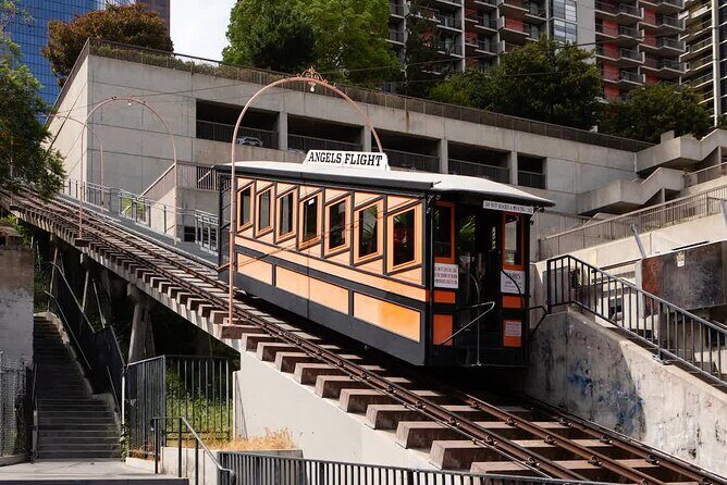 Private Custom Los Angeles Hollywood Beverly Hills Tour - Reviews and Authentic Perspectives