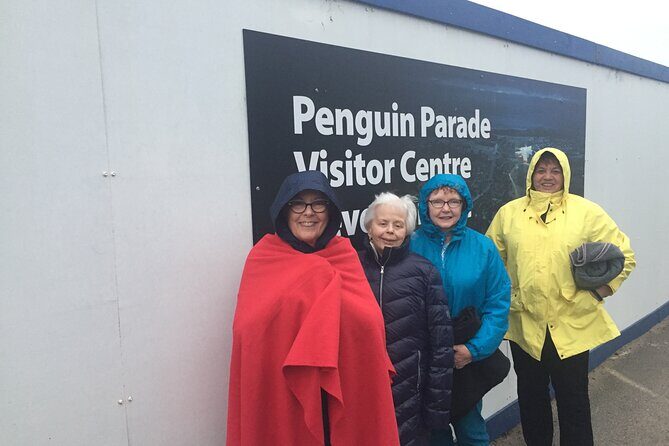 Private custom Penguin Tour with Premium Penguin Tickets - The Overall Experience