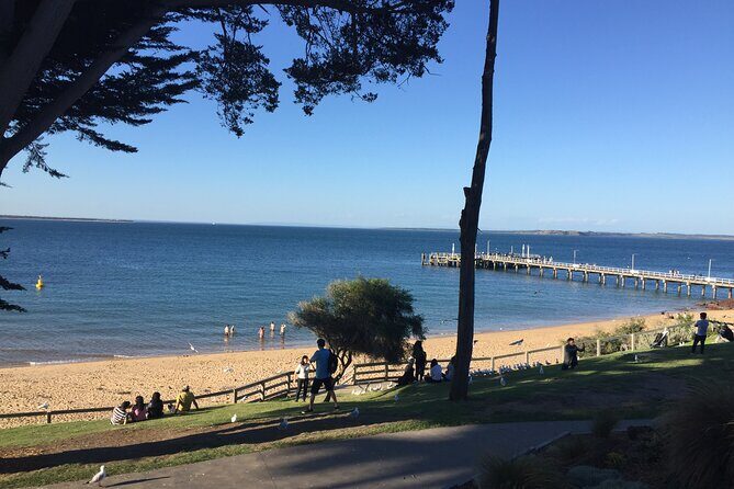 Private custom Penguin Tour with Premium Penguin Tickets - What You’ll Love