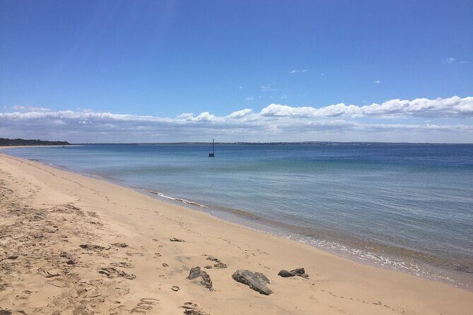 Private custom Penguin Tour with Premium Penguin Tickets - What to Keep in Mind