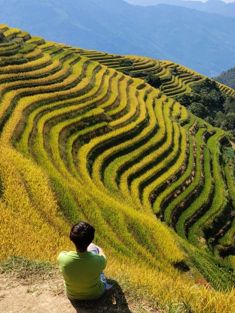 Private Custom Tour: 2 Day Longji Rice Terraces Private Tour - Day 2 Itinerary