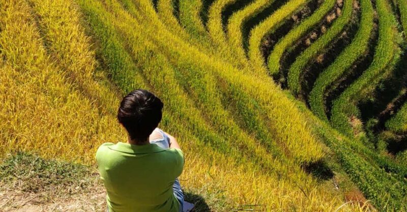 Private Custom Tour: 2 Day Longji Rice Terraces Private Tour - Included Services