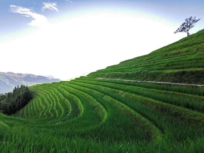 Private Custom Tour: 2 Day Longji Rice Terraces Private Tour - Meal Arrangements