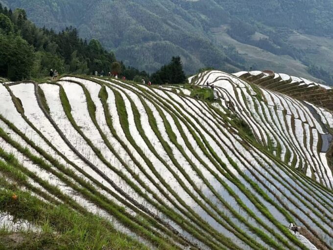 Private Custom Tour: 2 Day Longji Rice Terraces Private Tour - Flexible Travel Plans