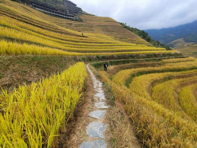 Private Custom Tour: 2 Day Longji Rice Terraces Private Tour - Frequently Asked Questions