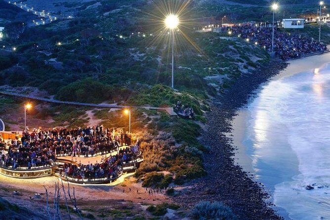 Private custom Tour of Phillip Island With Penguin Parade - Key Points