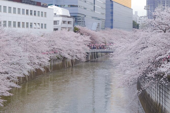 Private Custom Tour: Tokyo in a Day - Tailor-made Experience