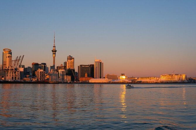 Private Custom Tour With a Local Guide Auckland - Accessibility Features