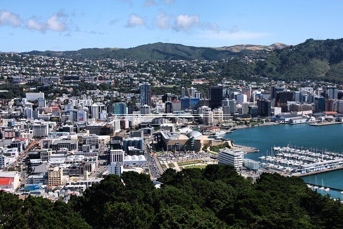 Private custom tour with a local guide Wellington - Why Choose a Private Custom Tour in Wellington?