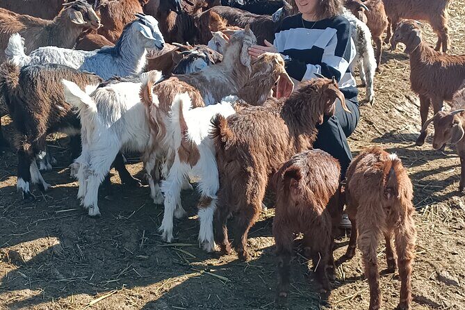 Private Custom Tours to Thessaloniki - Frequently Asked Questions