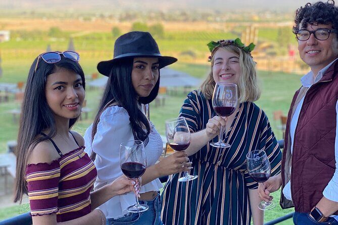 Private Custom Transport in Valle for 5 or 6 People Wine Food - What makes the experience worth considering?