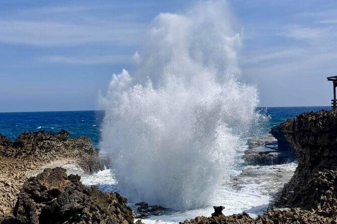 Private Customizable Curacao Beaches, Nature & Countryside Tour - Key Points