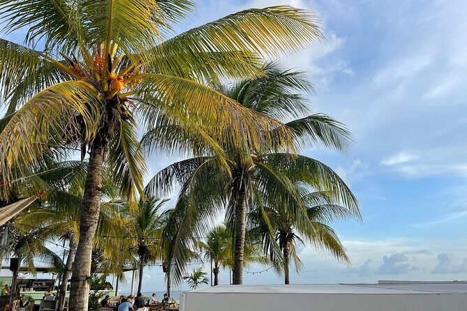 Private Customizable Tour: Amazing Beaches And Great Scenery - Why This Tour Stands Out