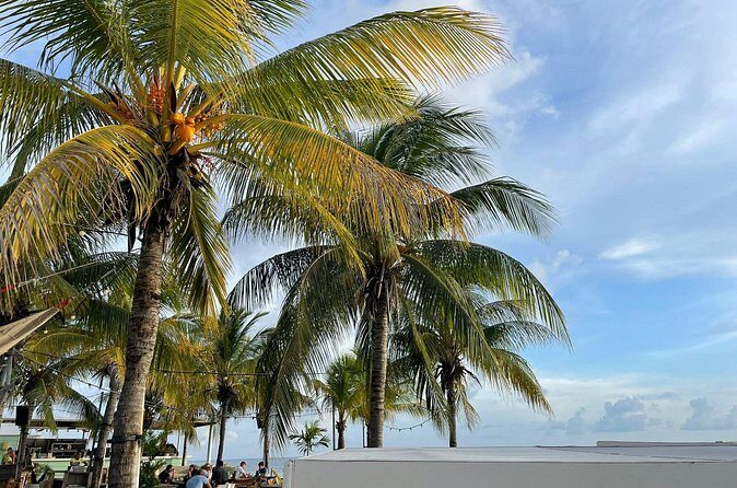 Private Customizable Tour: Amazing Beaches And Great Scenery - Why This Tour Is Worth Considering