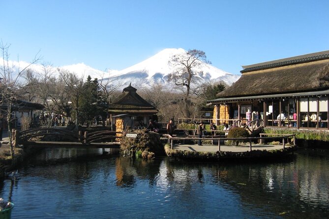 Private Customizable Tour in Mount Fuji - Customizing Your Tour Experience