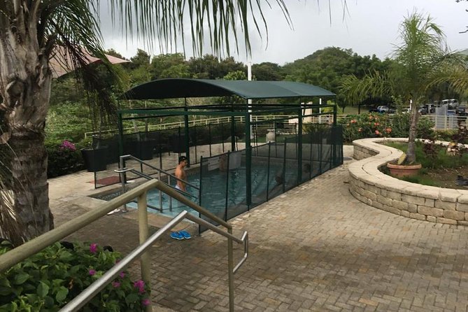 Private Customizable Tour of Puerto Rico - Customer Ratings