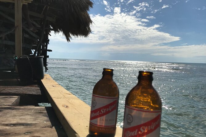 Private Customizable Waterfalls, Crocodiles, Rum Tasting, or Pelican Bar Tour - Tour Details